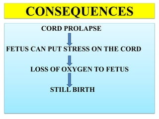 CONSEQUENCES
CORD PROLAPSE
FETUS CAN PUT STRESS ON THE CORD
LOSS OF OXYGEN TO FETUS
STILL BIRTH
 