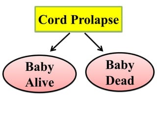 Cord Prolapse
Baby
Alive
Baby
Dead
 