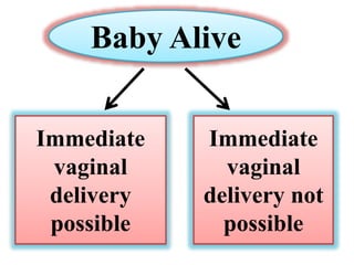 Baby Alive
Immediate
vaginal
delivery
possible
Immediate
vaginal
delivery not
possible
 