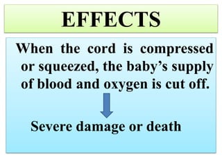 EFFECTS
When the cord is compressed
or squeezed, the baby’s supply
of blood and oxygen is cut off.
Severe damage or death
 