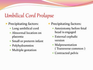 Umbilical Cord Prolapse
 Precipitating factors:
 Long umbilical cord
 Abnormal location on
placenta
 Small or preterm infant
 Polyhydramnios
 Multiple gestation
 Precipitating factors:
 Amniotomy before fetal
head is engaged
 External cephalic
version
 Malpresentation
( Transverse common )
 Contracted pelvis
 