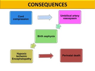 CONSEQUENCES
Cord
compression
Umbilical artery
vasospasm
Birth asphyxia
Hypoxic
Ischemic
Encephalopathy
Perinatal death
 
