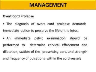 MANAGEMENT
Overt Cord Prolapse
• The diagnosis of overt cord prolapse demands
immediate action to preserve the life of the fetus.
• An immediate pelvic examination should be
performed to determine cervical effacement and
dilatation, station of the presenting part, and strength
and frequency of pulsations within the cord vessels
 