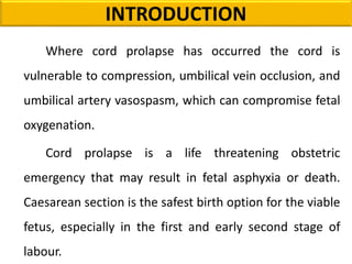 Where cord prolapse has occurred the cord is
vulnerable to compression, umbilical vein occlusion, and
umbilical artery vasospasm, which can compromise fetal
oxygenation.
Cord prolapse is a life threatening obstetric
emergency that may result in fetal asphyxia or death.
Caesarean section is the safest birth option for the viable
fetus, especially in the first and early second stage of
labour.
INTRODUCTION
 