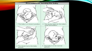 wallis leggings debenhams