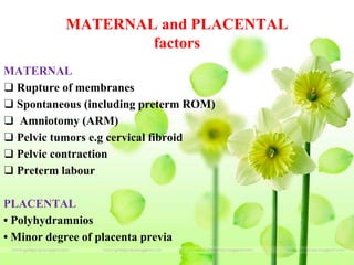MATERNAL and PLACENTAL
factors
MATERNAL
❑ Rupture of membranes
❑ Spontaneous (including preterm ROM)
❑ Amniotomy (ARM)
❑ Pelvic tumors e.g cervical fibroid
❑ Pelvic contraction
❑ Preterm labour
PLACENTAL
• Polyhydramnios
• Minor degree of placenta previa
 