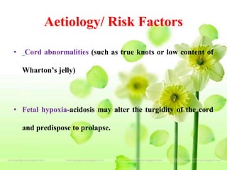 Aetiology/ Risk Factors
• Cord abnormalities (such as true knots or low content of
Wharton’s jelly)
• Fetal hypoxia-acidosis may alter the turgidity of the cord
and predispose to prolapse.
 