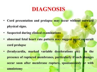 DIAGNOSIS
• Cord presentation and prolapse may occur without outward
physical signs.
• Suspected during clinical examinations
• abnormal fetal heart rate pattern may suggest overt or occult
cord prolapse
• (bradycardia, marked variable decelerations etc) in the
presence of ruptured membranes, particularly if such changes
occur soon after membrane rupture, spontaneously or with
amniotomy
 