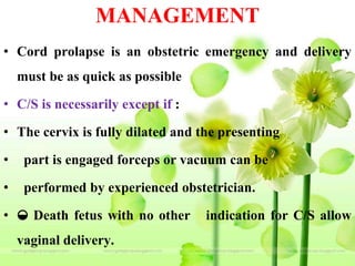 MANAGEMENT
• Cord prolapse is an obstetric emergency and delivery
must be as quick as possible
• C/S is necessarily except if :
• The cervix is fully dilated and the presenting
• part is engaged forceps or vacuum can be
• performed by experienced obstetrician.
• ◒ Death fetus with no other indication for C/S allow
vaginal delivery.
 