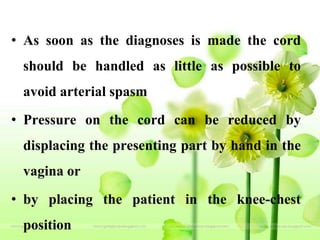 • As soon as the diagnoses is made the cord
should be handled as little as possible to
avoid arterial spasm
• Pressure on the cord can be reduced by
displacing the presenting part by hand in the
vagina or
• by placing the patient in the knee-chest
position
 