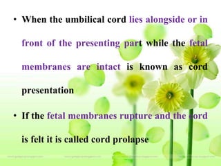 • When the umbilical cord lies alongside or in
front of the presenting part while the fetal
membranes are intact is known as cord
presentation
• If the fetal membranes rupture and the cord
is felt it is called cord prolapse
 