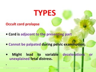 TYPES
Occult cord prolapse
• Cord is adjacent to the presenting part
• Cannot be palpated during pelvic examination.
• Might lead to variable decelerations or
unexplained fetal distress.
.
 