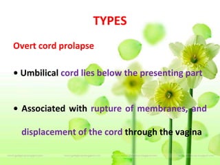 TYPES
Overt cord prolapse
• Umbilical cord lies below the presenting part
• Associated with rupture of membranes, and
displacement of the cord through the vagina
 