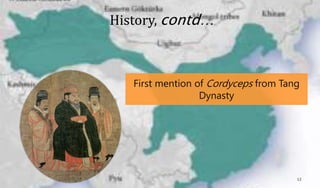 First mention of Cordyceps from Tang
Dynasty
History, contd…
12
 