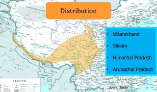 18
Distribution
• Uttarakhand
• Sikkim
• Himachal Pradesh
• Arunachal Pradesh
(Arora, 2015)
 