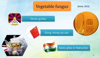 Yartsa-gunbu
Dong chong xia cao
Keera ghas or Keera jhar
Vegetable fungus
19
(Arora, 2015)
 