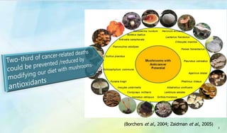 (Borchers et al., 2004; Zaidman et al., 2005)
3
 