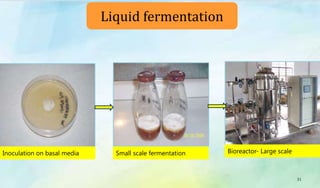 31
Liquid fermentation
Inoculation on basal media Small scale fermentation Bioreactor- Large scale
 