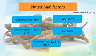 Vitamins - B1, B2, B12
and K
Crude Proteins - 29.1–
33%.
Nutritional factors
Carbohydrates- 29%
Fat- 8.4%
Fiber- 18.5%
34
(Xuanwei-Zhou et al. ,2009)
 