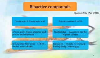 Cordycepin & Cordycepic acid
Amino acids- lysine, glutamic acid,
proline and threonine
Unsaturated fatty acids- 57.84% ,
linoleic acid- 38.44%
Polysaccharides-3 to 8%
Nucleotides - guanosine has the
highest content
Ergosterol - mycelia (1.44 mg/g)
fruiting body (10.68 mg/g)
Bioactive compounds
35
(Xuanwei-Zhou et al. ,2009)
 