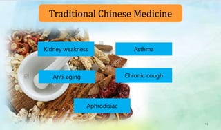 Traditional Chinese Medicine
Kidney weakness Asthma
Chronic coughAnti-aging
41
Aphrodisiac
 