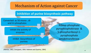 (Klenow, 1963; Overgaard, 1964; Rottman and Guarino, 1964)
Converted as 50 mono-, di-
and tri-phosphates
Inhibit the activity of
enzymes
Inhibit biosynthesis of
purines
Ribose-phosphate
pyrophosphokinase &
5-phosphoribosyl-1-
pyrophosphate
amidotransferase
Inhibition of purine biosynthesis pathway
Mechanism of Action against Cancer
44
 