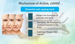 Prevent the formation of
peroxide and lipids
Decreases the formation of
oxidised enzymes in the
brain
Scavenge Oxygen-free
radicals
Powerful anti-ageing herb
47
Mechanism of Action, contd…
 