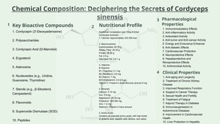 𝘾𝙤𝙧𝙙𝙮𝙘𝙚𝙥𝙨 𝙨𝙞𝙣𝙚𝙣𝙨𝙞𝙨 - Juhi Khanal (D.S.B. Campus, Kumaun University) | PPTX