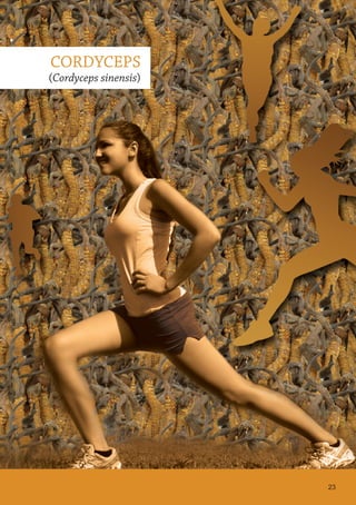 CORDYCEPS
(Cordyceps sinensis)
23
 