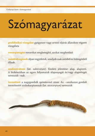 preklinikai vizsgálat gyógyszer vagy orvosi eljárás állatokon végzett
vizsgálata
rovarpatogén rovarokat megbetegítő, azokat megfertőző
szénhidrogének olyan vegyületek, amelyek csak szénből és hidrogénből
állnak.
szubsztrátum (lat. substratum). Eredeti jelentése: alap, alapvető.
A biokémiában az egyes folyamatok alapanyagát és/vagy alaprétegét
nevezzük ~nak.
termőtest a nagygombák spóratermő része. Az →aszkuszos gombák
termőtestét aszkokarpiumnak (lat. ascocarpium) nevezzük
40
Szómagyarázat
Cordyceps füzet » Szómagyarázat
 