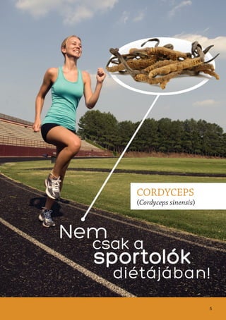 5
CORDYCEPS
(Cordyceps sinensis)
 