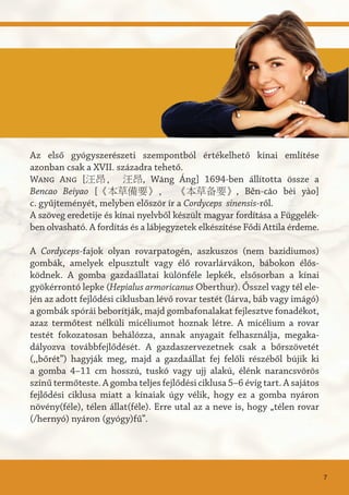 Az első gyógyszerészeti szempontból értékelhető kínai említése
azonban csak a XVII. századra tehető.
Wang Ang [汪昂, 汪昂, Wāng Áng] 1694-ben állította össze a
Bencao Beiyao [《本草備要》, 《本草备要》, Běn-căo bèi yào]
c. gyűjteményét, melyben először ír a Cordyceps sinensis-ről.
A szöveg eredetije és kínai nyelvből készült magyar fordítása a Függelék-
ben olvasható. A fordítás és a lábjegyzetek elkészítése Fődi Attila érdeme.
A Cordyceps-fajok olyan rovarpatogén, aszkuszos (nem bazidiumos)
gombák, amelyek elpusztult vagy élő rovarlárvákon, bábokon élős-
ködnek. A gomba gazdaállatai különféle lepkék, elsősorban a kínai
gyökérrontó lepke (Hepialus armoricanus Oberthur). Ősszel vagy tél ele-
jén az adott fejlődési ciklusban lévő rovar testét (lárva, báb vagy imágó)
a gombák spórái beborítják, majd gombafonalakat fejlesztve fonadékot,
azaz termőtest nélküli micéliumot hoznak létre. A micélium a rovar
testét fokozatosan behálózza, annak anyagait felhasználja, megaka-
dályozva továbbfejlődését. A gazdaszervezetnek csak a bőrszövetét
(,,bőrét”) hagyják meg, majd a gazdaállat fej felőli részéből bújik ki
a gomba 4–11 cm hosszú, tuskó vagy ujj alakú, élénk narancsvörös
színű termőteste. A gomba teljes fejlődési ciklusa 5–6 évig tart. A sajátos
fejlődési ciklusa miatt a kínaiak úgy vélik, hogy ez a gomba nyáron
növény(féle), télen állat(féle). Erre utal az a neve is, hogy „télen rovar
(/hernyó) nyáron (gyógy)fű”.
7
 