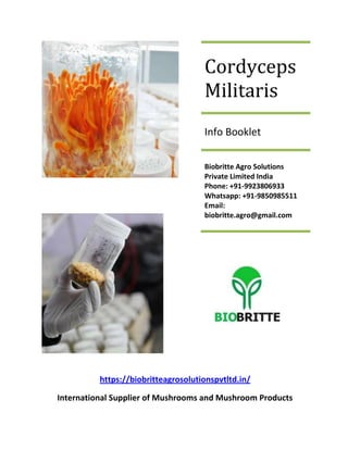Cordyceps
Militaris
Info Booklet
Biobritte Agro Solutions
Private Limited India
Phone: +91-9923806933
Whatsapp: +91-9850985511
Email:
biobritte.agro@gmail.com
https://biobritteagrosolutionspvtltd.in/
International Supplier of Mushrooms and Mushroom Products
 