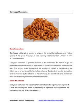 Biobritte Agro Solutions Private Limited https://biobritteagrosolutionspvtltd.in/
Basic Information:
Cordyceps militaris is a species of fungus in the family Clavicipitaceae, and the type
species of the genus Cordyceps. It was originally described by Carl Linnaeus in 1753
as Clavaria militaris.
Cordyceps militaris is a potential harbour of bio-metabolites for herbal drugs and
evidences are available about its applications for revitalization of various systems of the
body from ancient times. Amongst all the species, C. militaris is considered as the
oldest source of some useful chemical constituents. Besides their popular applications
for tonic medicine by the all stairs of the community, the constituents of C. militaris are
now used extensively in modern systems of medicine.
About the product:
Cordyceps is a fungus that lives on certain caterpillars in the high mountain regions of
China. Natural cordyceps is hard to get and may be expensive. Most supplements are
made with cordyceps grown in a laboratory.
Cordyceps Mushrooms
 