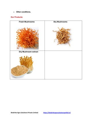 Biobritte Agro Solutions Private Limited https://biobritteagrosolutionspvtltd.in/
 Other conditions.
Our Products:
Fresh Mushrooms Dry Mushrooms
Dry Mushroom extract
 