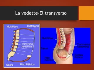 La vedette-El transverso
 