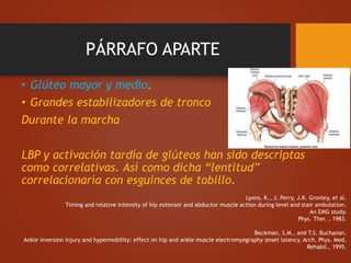 PÁRRAFO APARTE
• Glúteo mayor y medio.
• Grandes estabilizadores de tronco
Durante la marcha
LBP y activación tardía de glúteos han sido descriptas
como correlativas. Así como dicha “lentitud”
correlacionaría con esguinces de tobillo.
Lyons, K., J. Perry, J.K. Gronley, et al.
Timing and relative intensity of hip extensor and abductor muscle action during level and stair ambulation.
An EMG study.
Phys. Ther. , 1983.
Beckman, S.M., and T.S. Buchanan.
Ankle inversion injury and hypermobility: effect on hip and ankle muscle electromyography onset latency. Arch. Phys. Med.
Rehabil., 1995.
 