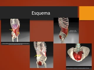 Esquema
 