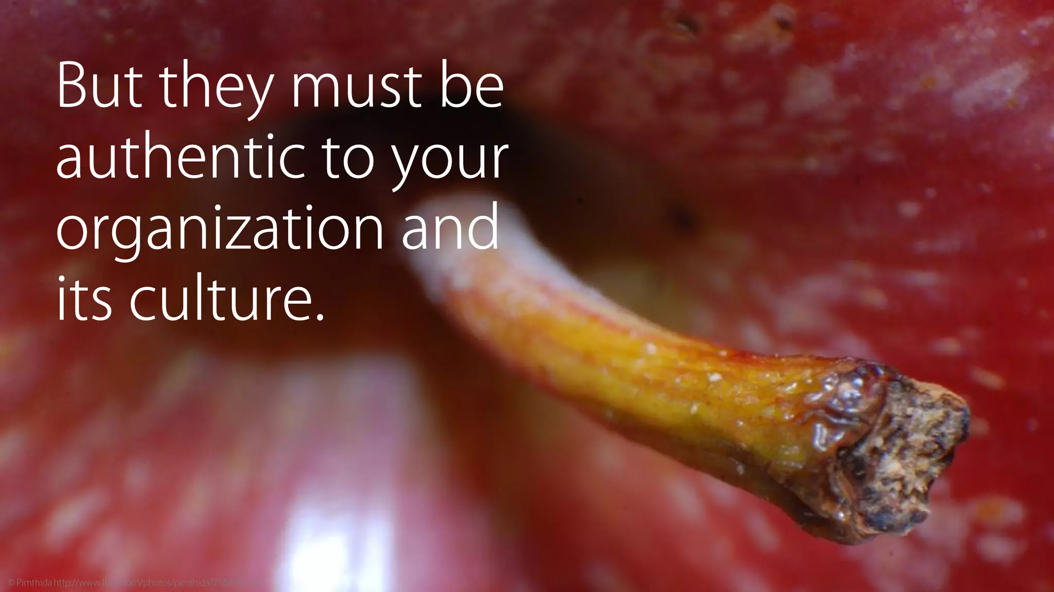 Sine Qua Non: Core Values and Content Strategy