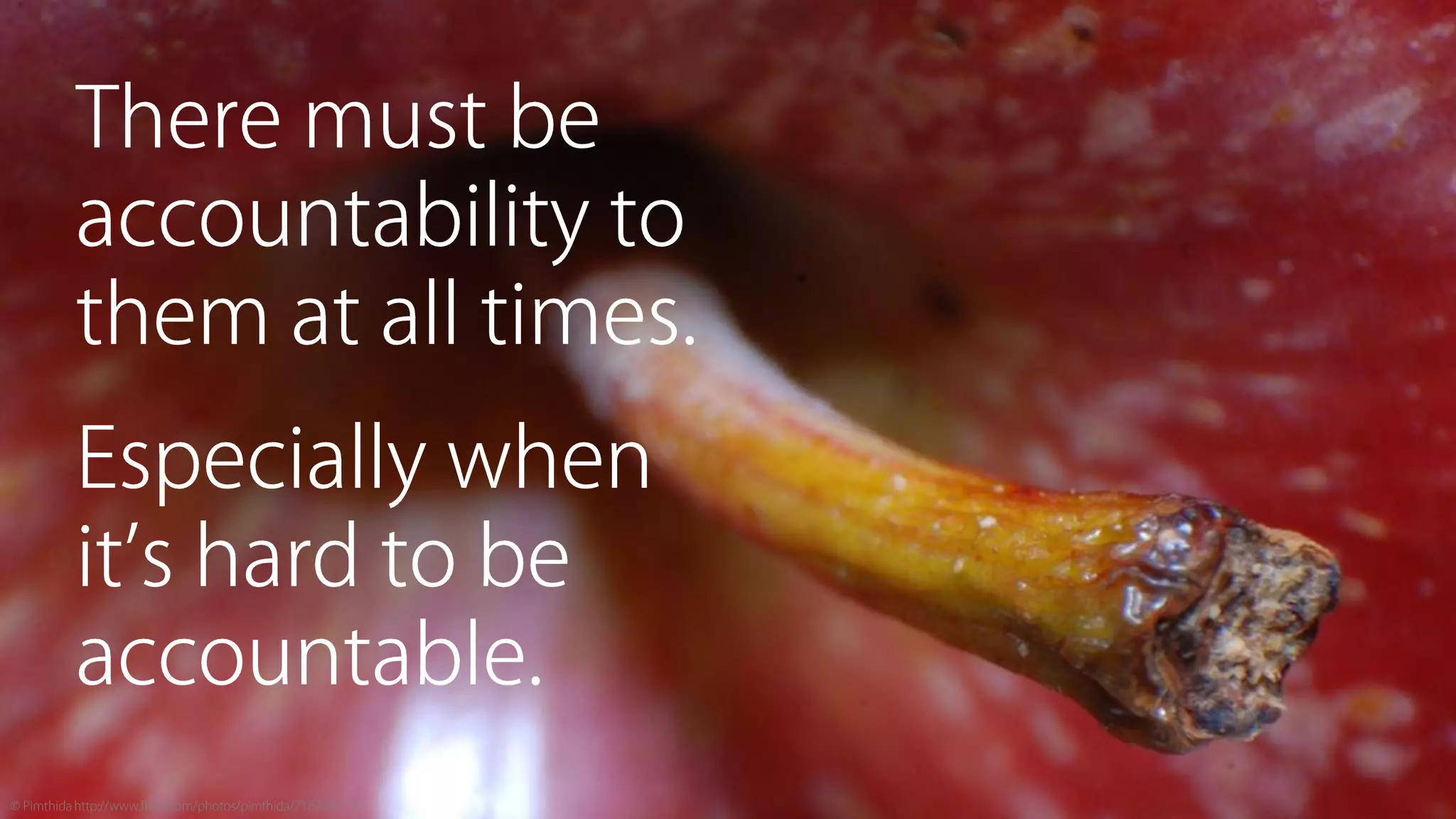 Sine Qua Non: Core Values and Content Strategy