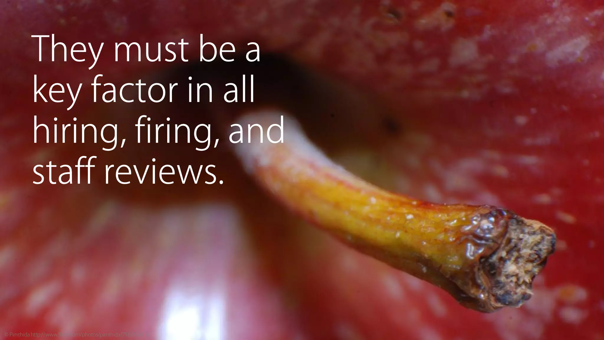 Sine Qua Non: Core Values and Content Strategy