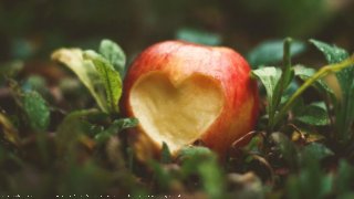 Sine Qua Non: Core Values and Content Strategy