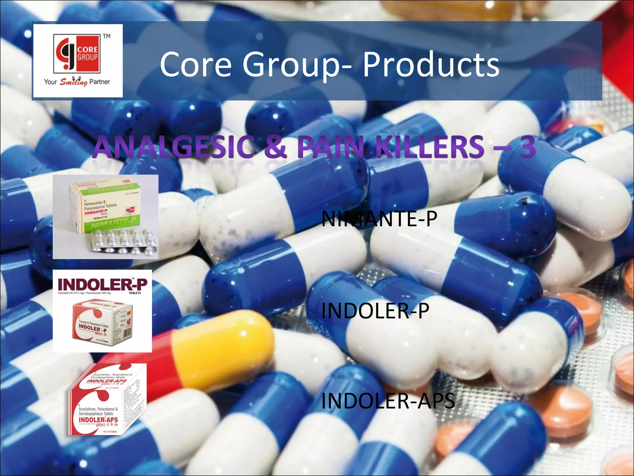 Core Group- Products


         NIMANTE-P


         INDOLER-P


         INDOLER-APS
 