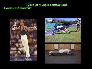 Types of muscle contractions
Examples of Isometric
 