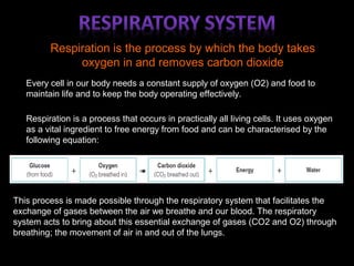 Respiration is the process by which the body takes
oxygen in and removes carbon dioxide
Every cell in our body needs a constant supply of oxygen (O2) and food to
maintain life and to keep the body operating effectively.
Respiration is a process that occurs in practically all living cells. It uses oxygen
as a vital ingredient to free energy from food and can be characterised by the
following equation:
This process is made possible through the respiratory system that facilitates the
exchange of gases between the air we breathe and our blood. The respiratory
system acts to bring about this essential exchange of gases (CO2 and O2) through
breathing; the movement of air in and out of the lungs.
 
