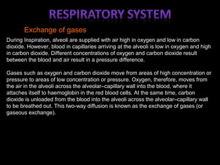 Exchange of gases
During Inspiration, alveoli are supplied with air high in oxygen and low in carbon
dioxide. However, blood in capillaries arriving at the alveoli is low in oxygen and high
in carbon dioxide. Different concentrations of oxygen and carbon dioxide result
between the blood and air result in a pressure difference.
Gases such as oxygen and carbon dioxide move from areas of high concentration or
pressure to areas of low concentration or pressure. Oxygen, therefore, moves from
the air in the alveoli across the alveolar–capillary wall into the blood, where it
attaches itself to haemoglobin in the red blood cells. At the same time, carbon
dioxide is unloaded from the blood into the alveoli across the alveolar–capillary wall
to be breathed out. This two-way diffusion is known as the exchange of gases (or
gaseous exchange).
 