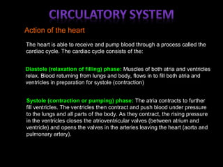 Action of the heart
The heart is able to receive and pump blood through a process called the
cardiac cycle. The cardiac cycle consists of the:
Diastole (relaxation of filling) phase: Muscles of both atria and ventricles
relax. Blood returning from lungs and body, flows in to fill both atria and
ventricles in preparation for systole (contraction)
Systole (contraction or pumping) phase: The atria contracts to further
fill ventricles. The ventricles then contract and push blood under pressure
to the lungs and all parts of the body. As they contract, the rising pressure
in the ventricles closes the atrioventricular valves (between atrium and
ventricle) and opens the valves in the arteries leaving the heart (aorta and
pulmonary artery).
 