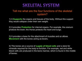 Tell me what are the four functions of the skeletal
system?
1) It Supports the organs and tissues of the body. Without this support
they would collapse under their own weight.
2) It provides Protection for internal organs. For example, the cranium
protects the brain; the thorax protects the heart and lungs.
3) It provides a base for the attachment of muscles and so allows
Movement with the bones acting as levers.
4) The bones are a source of supply of blood cells and a store for
minerals required for the body to function. For example, red and white
blood cells are produced in the bone marrow, which is found in the middle
of bones.
 