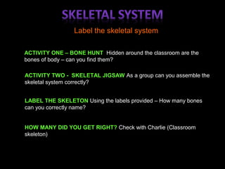 Label the skeletal system
ACTIVITY ONE – BONE HUNT Hidden around the classroom are the
bones of body – can you find them?
ACTIVITY TWO - SKELETAL JIGSAW As a group can you assemble the
skeletal system correctly?
LABEL THE SKELETON Using the labels provided – How many bones
can you correctly name?
HOW MANY DID YOU GET RIGHT? Check with Charlie (Classroom
skeleton)
 