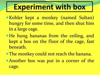 Experiment with box
Kohler kept a monkey (named Sultan)
hungry for some time, and then shut him
in a large cage.
He hung bananas from the ceiling, and
kept a box on the floor of the cage, fast
beneath.
The monkey could not reach the banana.
Another box was put in a corner of the
cage.
 